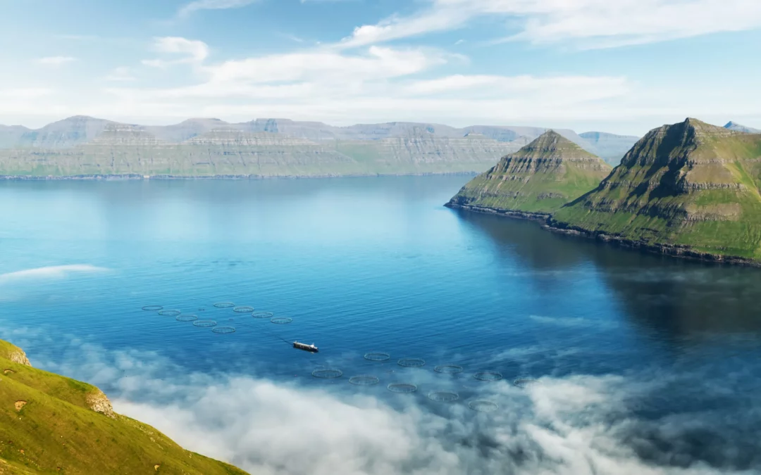 L&rsquo;Appel de l&rsquo;Ouest Sauvage : Voyage Photo Fjords & Snæfellsnes