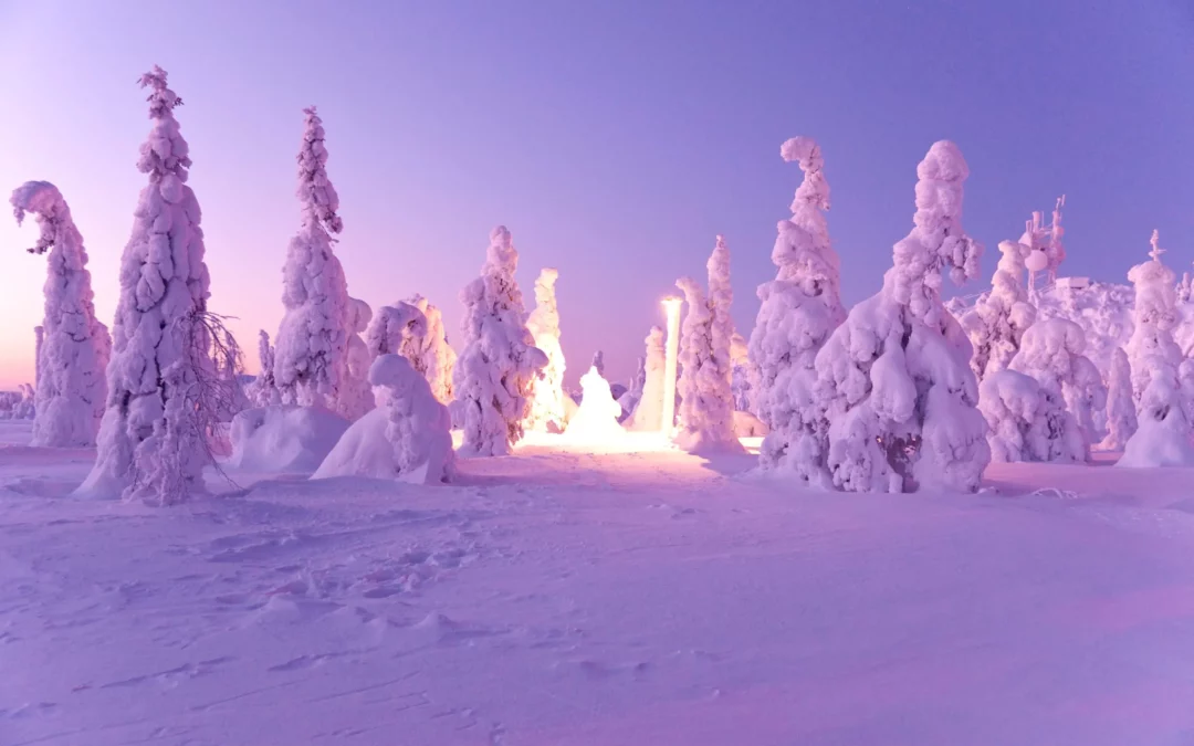 Le Silence de la Laponie : Voyage Photo Hivernal en Suède
