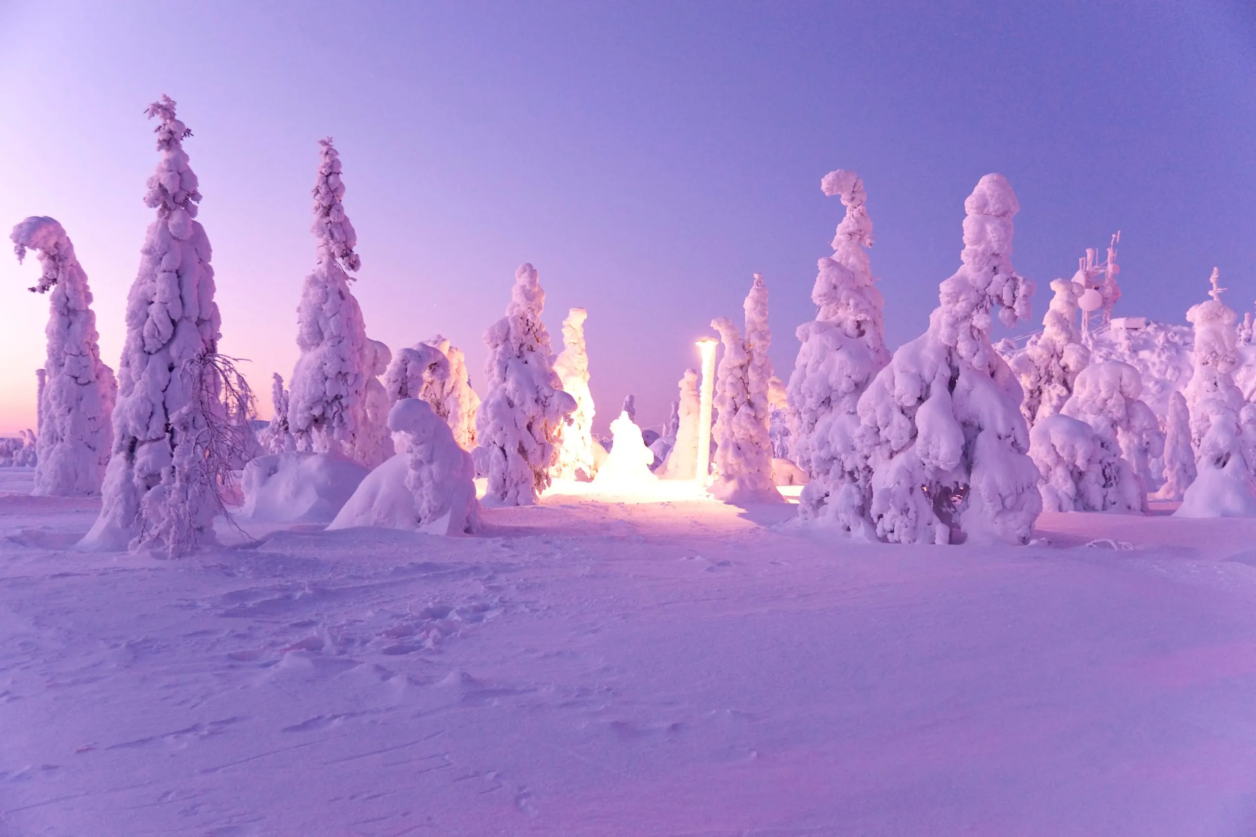 magic-winter-cold-weather-pink-lights-2024-11-26-06-02-10-utc-scaled