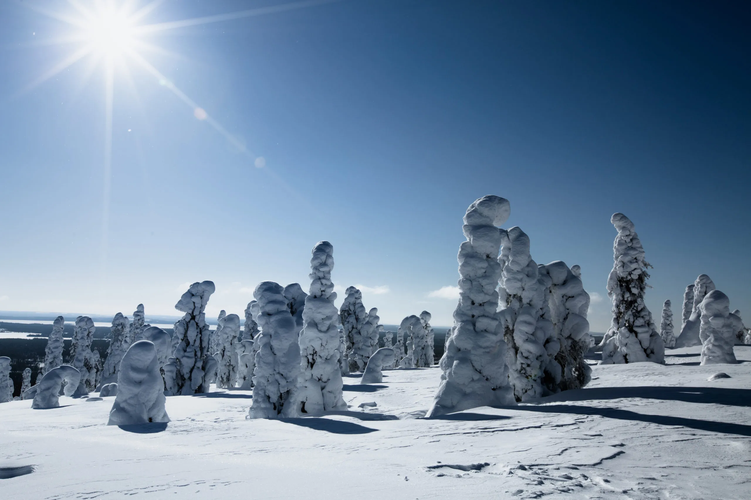 sunlight-over-a-winter-landscape-at-finland-laplan-2025-03-18-15-17-39-utc-scaled