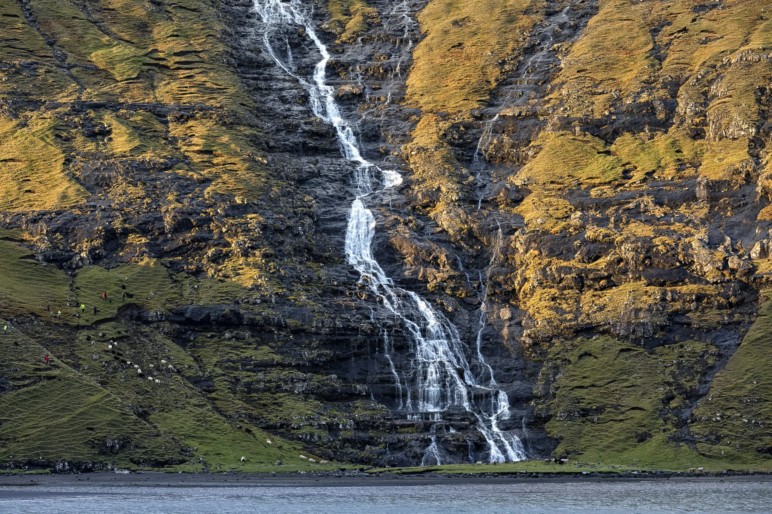 waterfall-and-flock-of-sheep-in-the-lagoon-autum-2024-11-30-16-00-03-utc-scaled