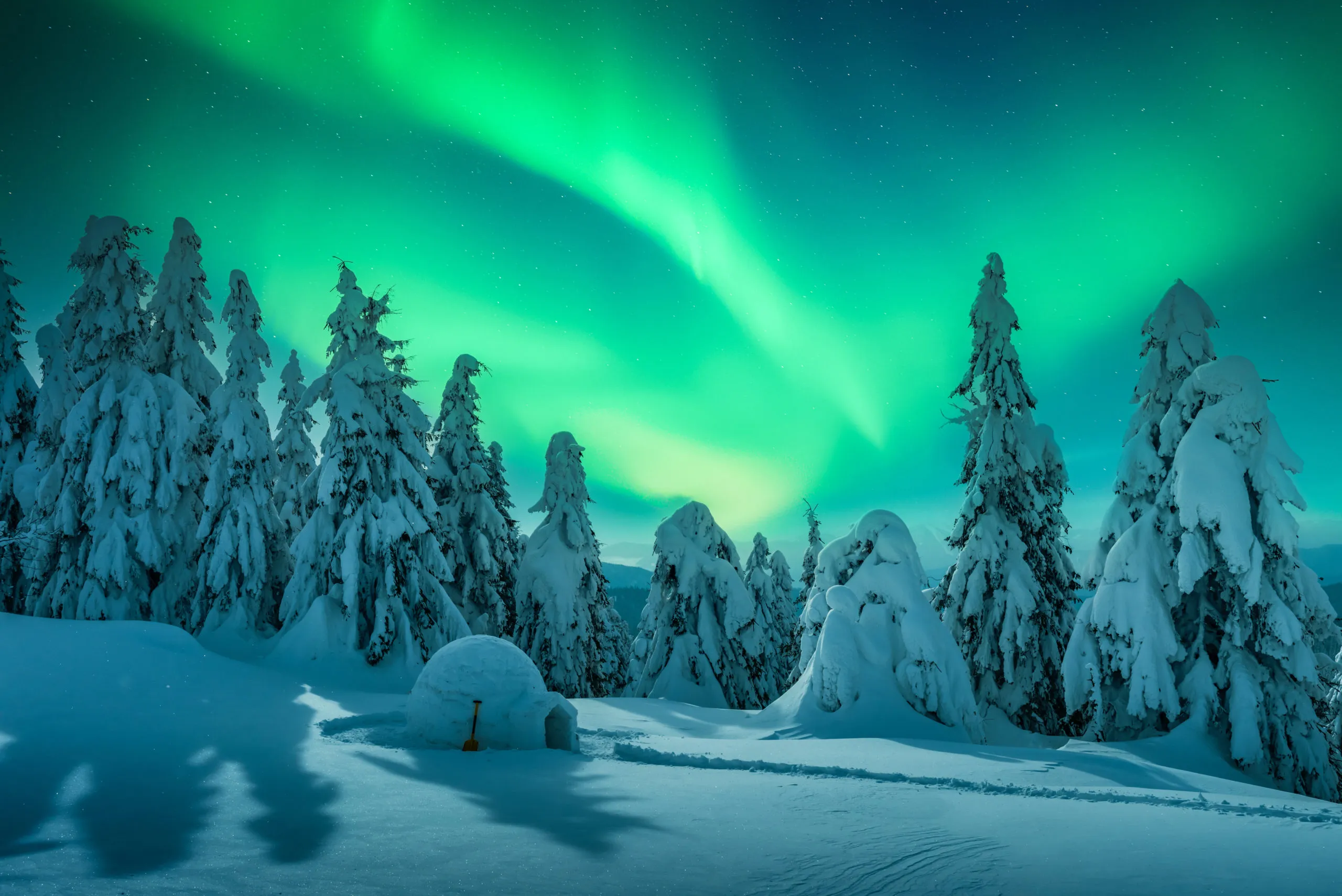 wintry-scene-with-glowing-polar-lights-and-snowy-i-2025-02-21-09-05-16-utc-scaled